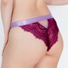 Evie Mesh and Lace Cheeky Brief