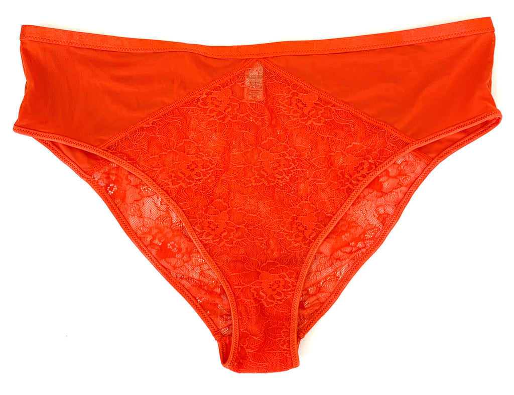 Ruthie Sheer/ Lace High Waist Brief