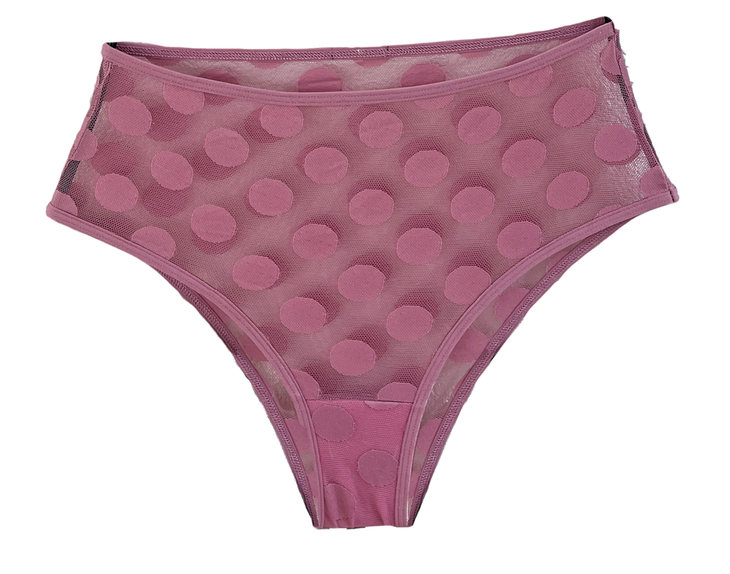 Jessie Polka Dot Mesh High Waist Bikini